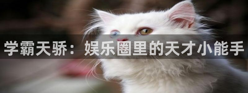 新城平台登录：学霸天骄：娱乐圈里的天才小能手