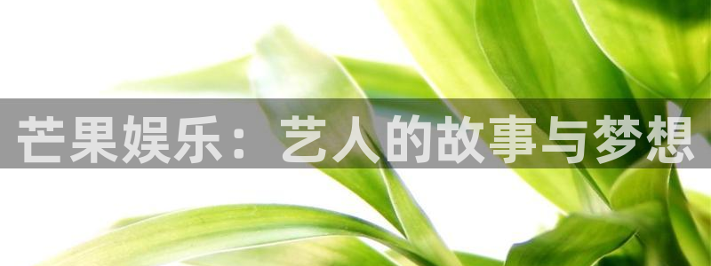 新城平台登录：芒果娱乐：艺人的故事与梦想
