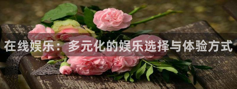 新城平台登录：在线娱乐：多元化的娱乐选择与体验方式