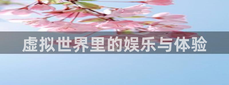 新城平台登录：虚拟世界里的娱乐与体验