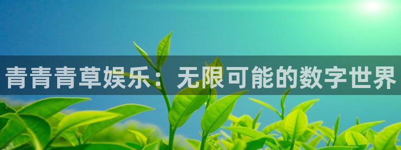 新城平台：青青青草娱乐：无限可能的数字世界