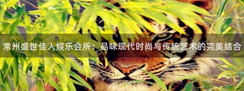 新城平台：常州盛世佳人娱乐会所：品味现代时尚与传统艺术的完美结合