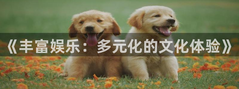 新城平台网页版登录：《丰富娱乐：多元化的文化体验》