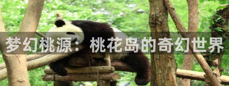 新城平台网页版登录：梦幻桃源：桃花岛的奇幻世界