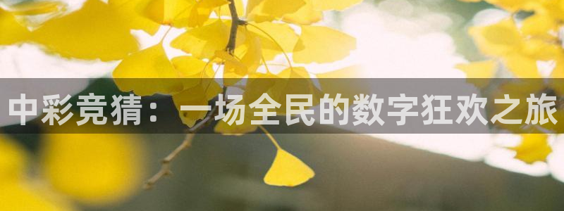 新城平台：中彩竞猜：一场全民的数字狂欢之旅