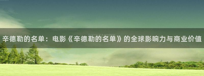 新城平台：辛德勒的名单：电影《辛德勒的名单》的全球影响力与商业价值