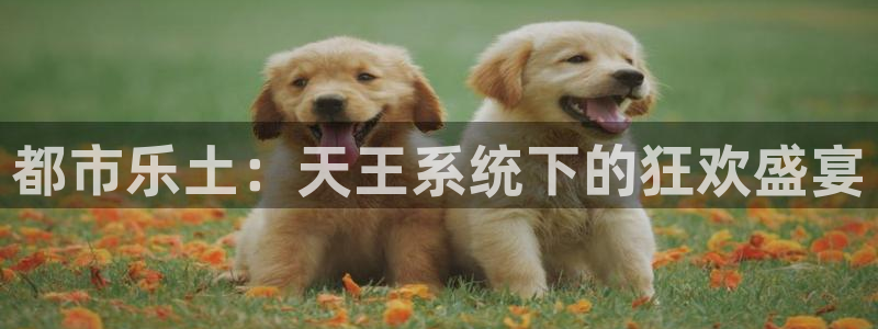 新城平台登录：都市乐土：天王系统下的狂欢盛宴
