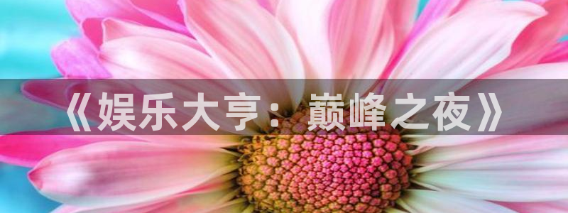 新城平台登录：《娱乐大亨：巅峰之夜》