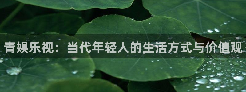 新城平台：青娱乐视：当代年轻人的生活方式与价值观