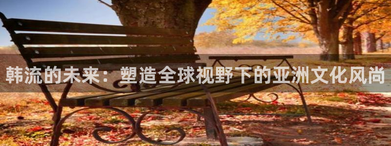 新城平台登录：韩流的未来：塑造全球视野下的亚洲文化风尚